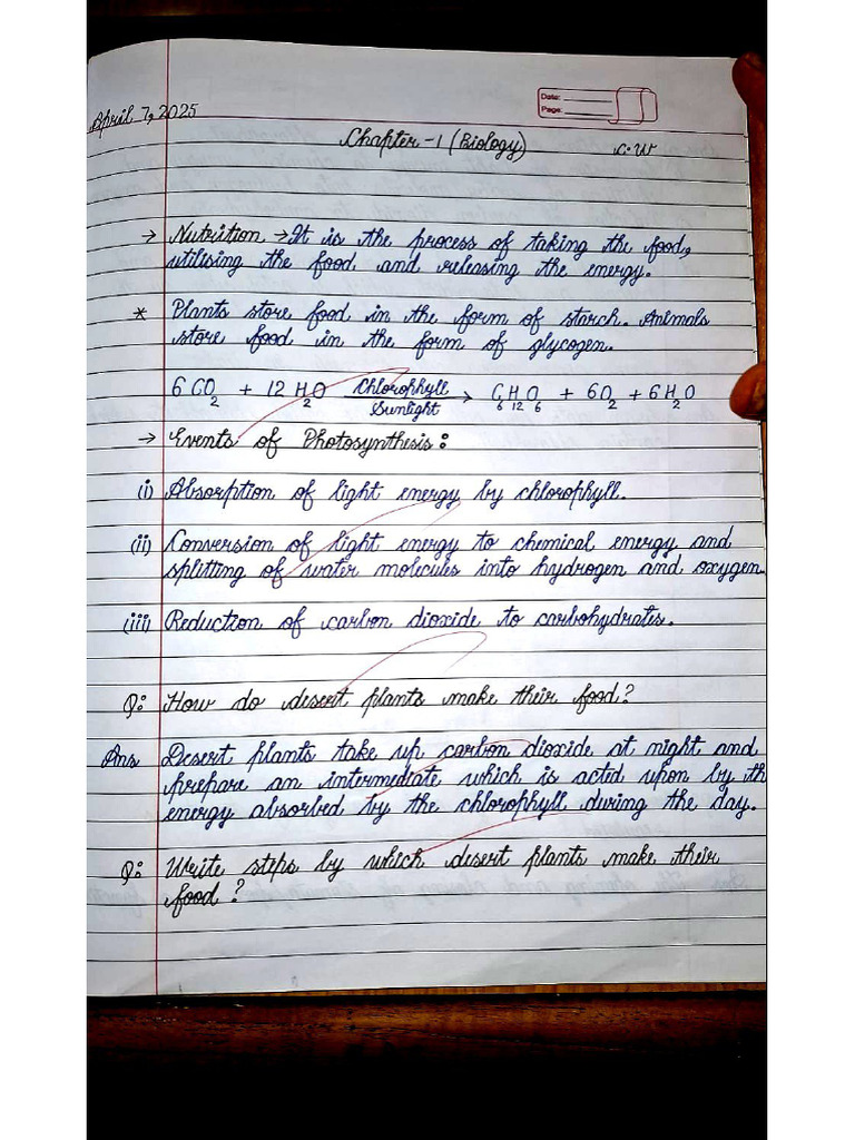 Class X. Life Process. Bio Notes | PDF