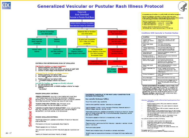 Annex 4 Rash Color 2 | PDF | Smallpox | Virology