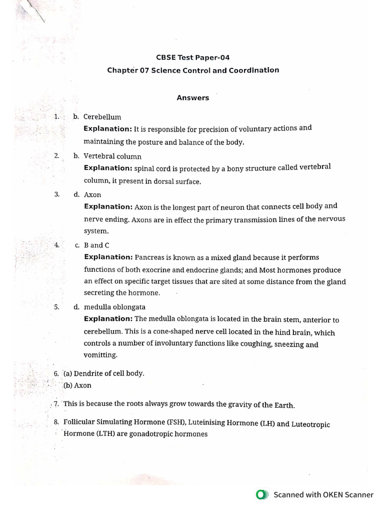 Answer Key 4 | PDF