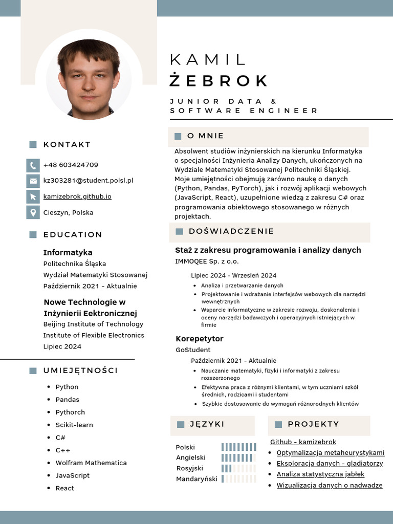 CV PL | PDF