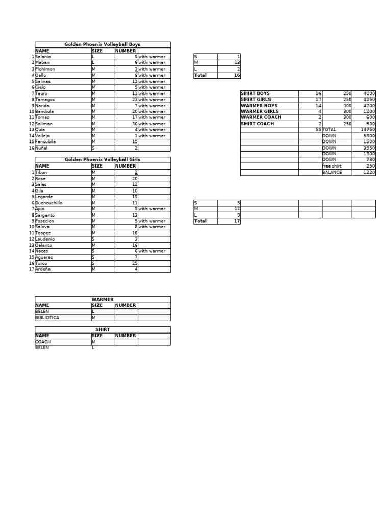 Volleyball Team Roster Summary | PDF