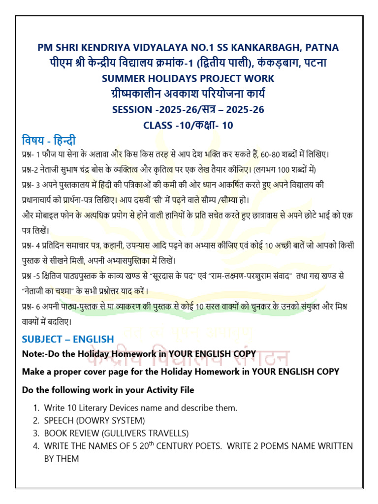 Class 10 Summer Project Work 2025-26 | PDF | Chemical Substances ...