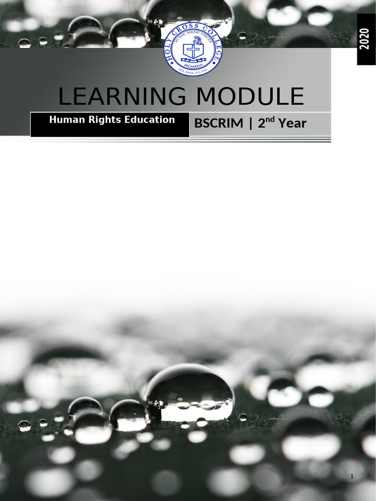 Human Rights Education Module for BSCRIM | PDF | American Government ...