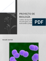 PROYECTO DE BIOLOGÍA