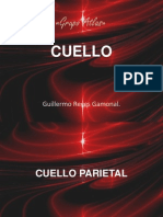 cuelloparietaltriangulos-100924071808-phpapp01