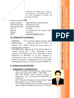 Curriculum Vitae