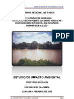 Evaluación de Impacto Ambiental Puente