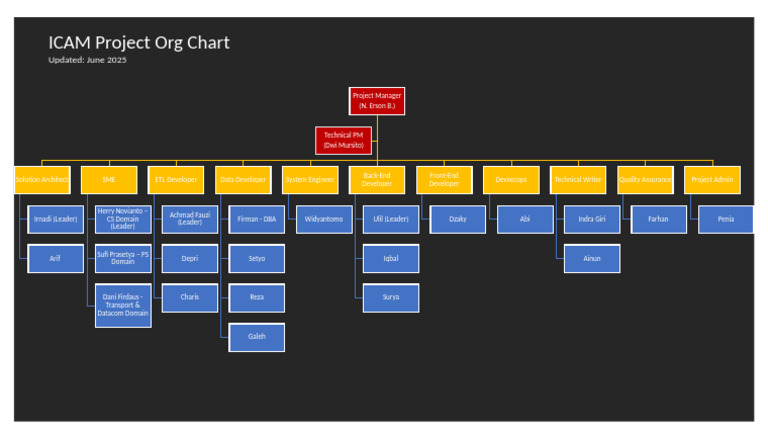 ICAM Project Organizational Chart 2025 | PDF
