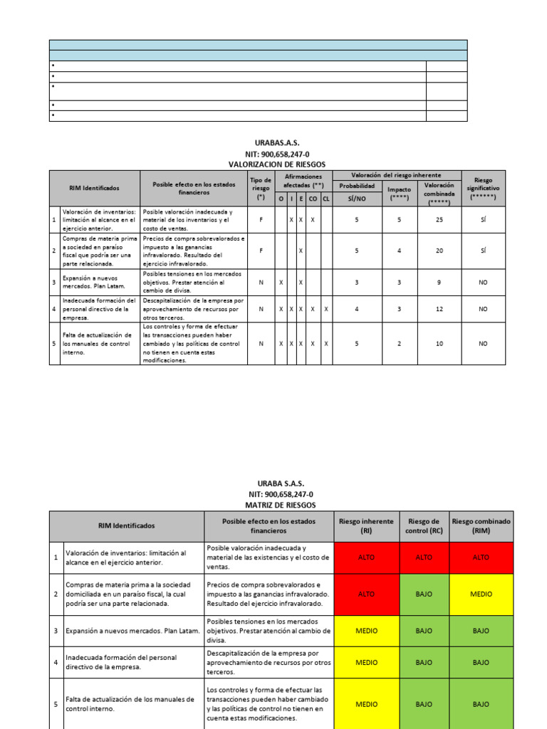 Análisis de Riesgos en Auditoría Financiera | PDF | Riesgo | Economias