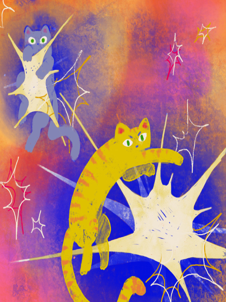 Cats | PDF