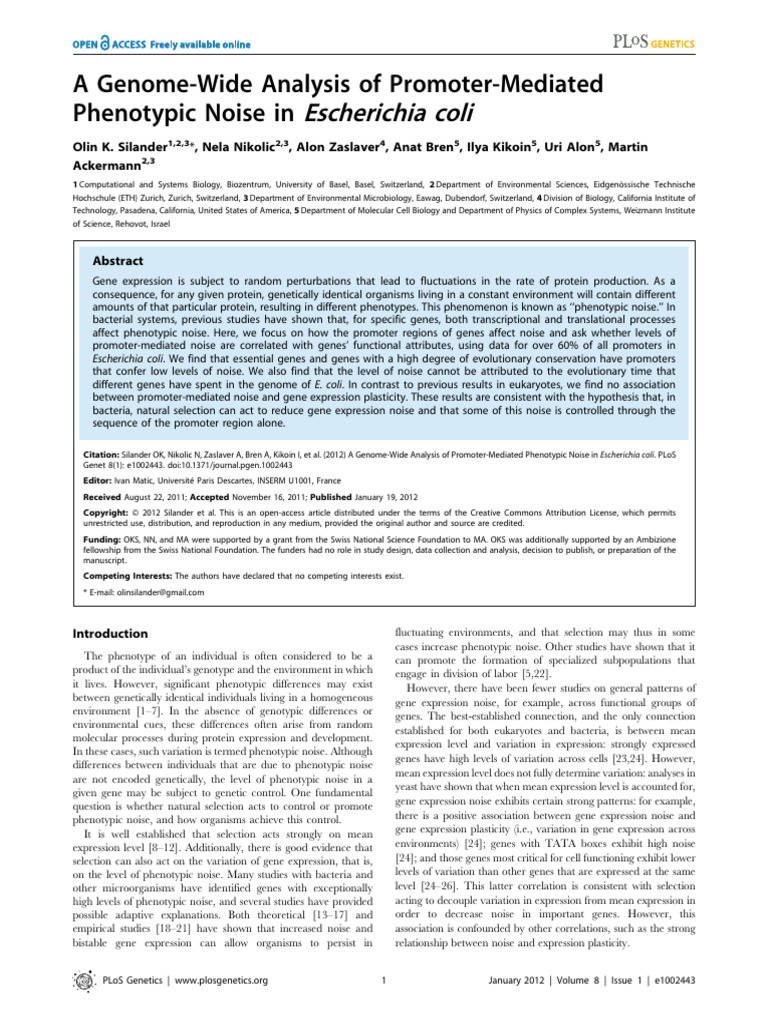 A Genome-Wide Analysis of Promoter-Mediated Phenotypic Noise in E. Coli ...