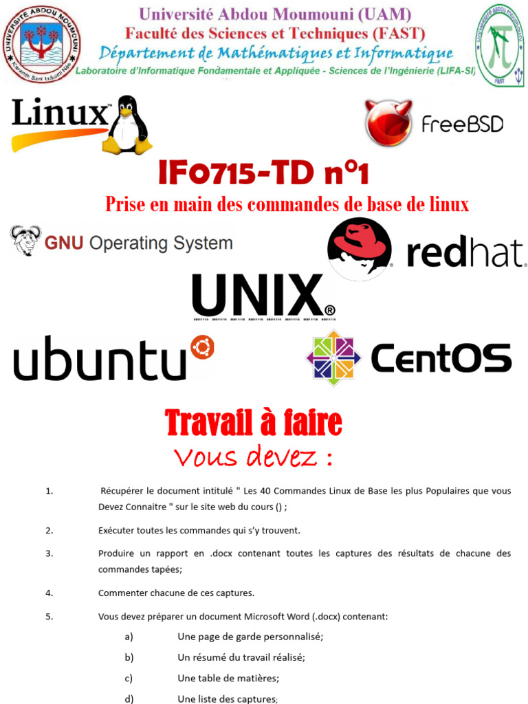 Commandes de base Linux : Guide pratique | PDF
