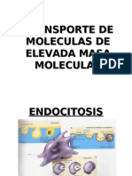 Biofisica 23 de Abril