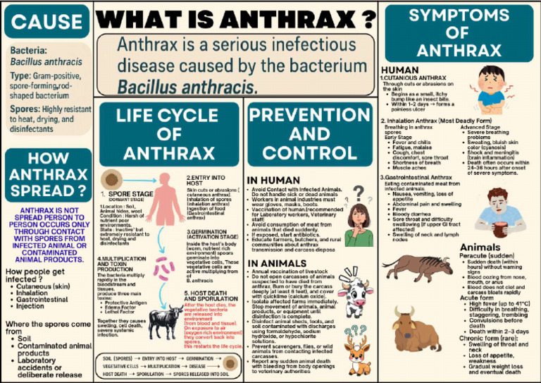 Anthrax 1 | PDF