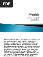 Download Metritis by Niar Anugrah SN95090243 doc pdf