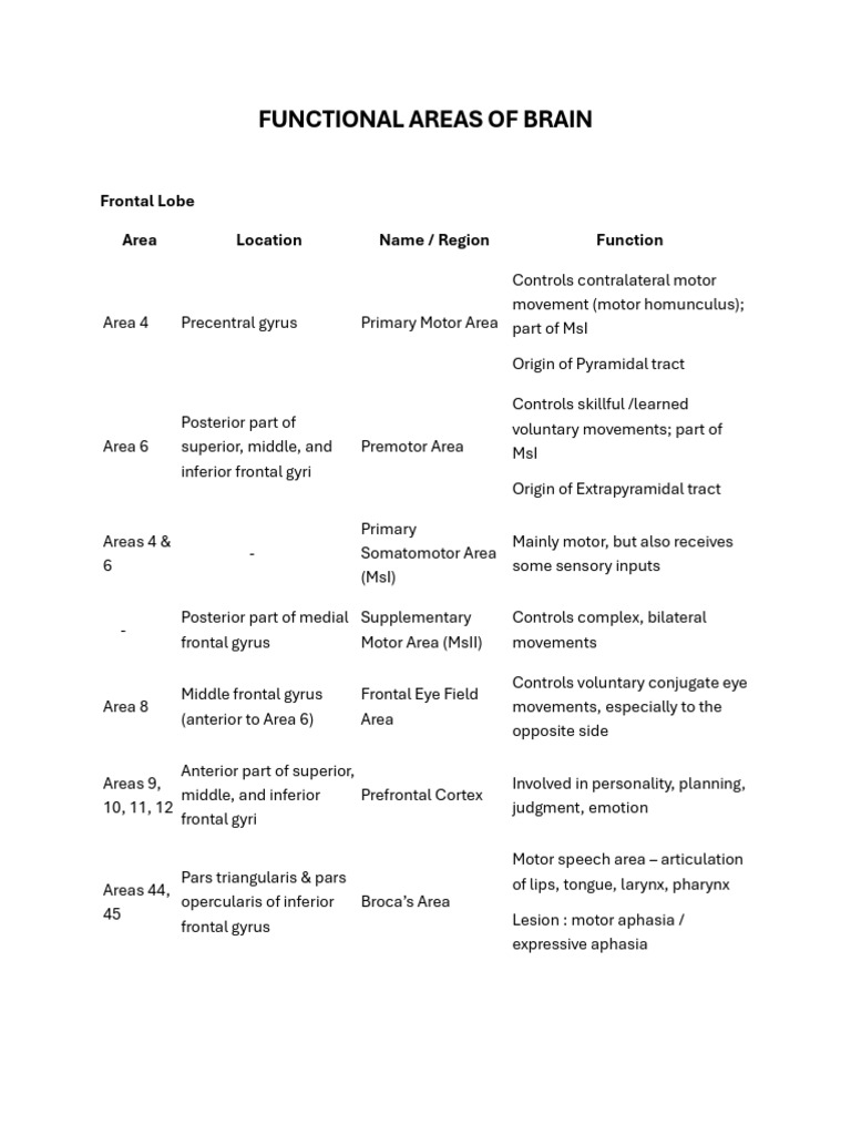 Functional Areas | PDF | Frontal Lobe | Temporal Lobe