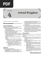 Class 11 Animal Kingdom Overview | PDF | Sponge | Biology