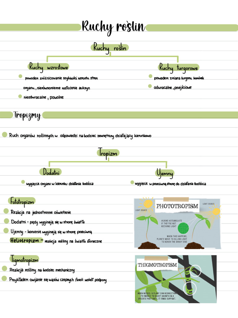 ruchy-ro-lin-pdf