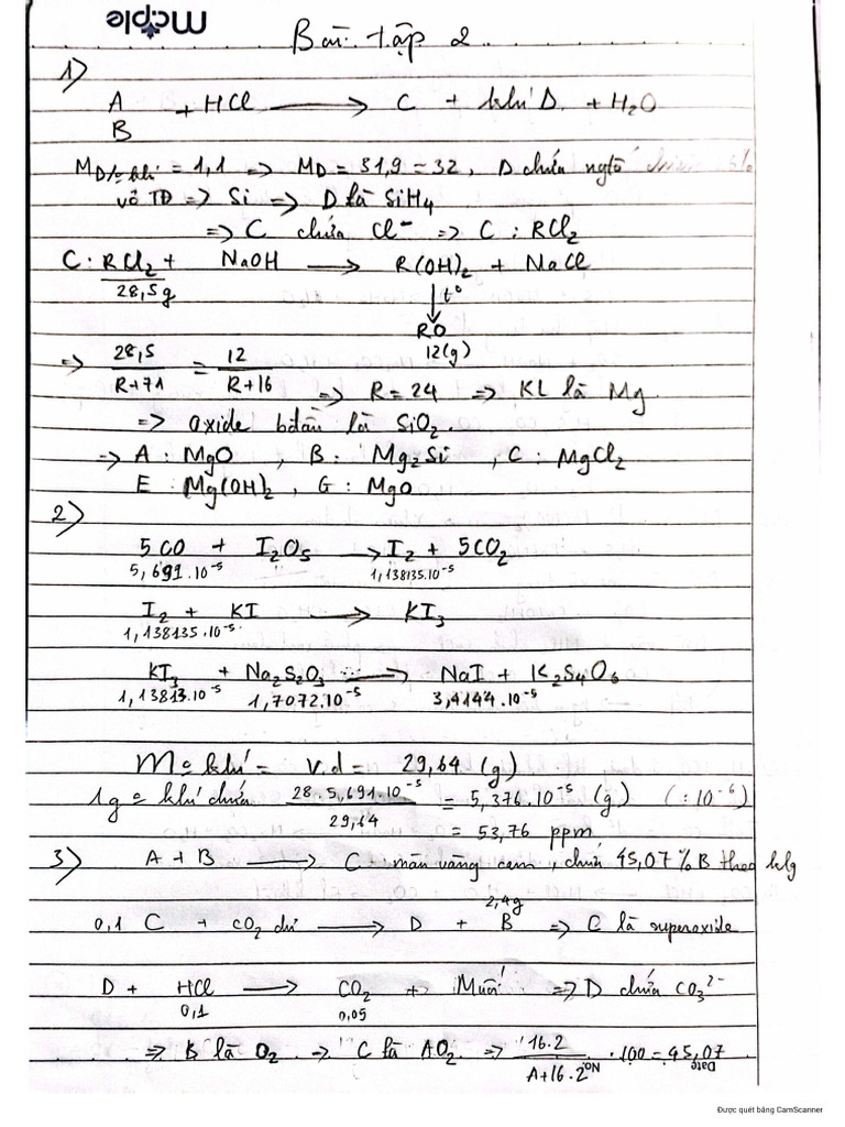 BT 2 | PDF