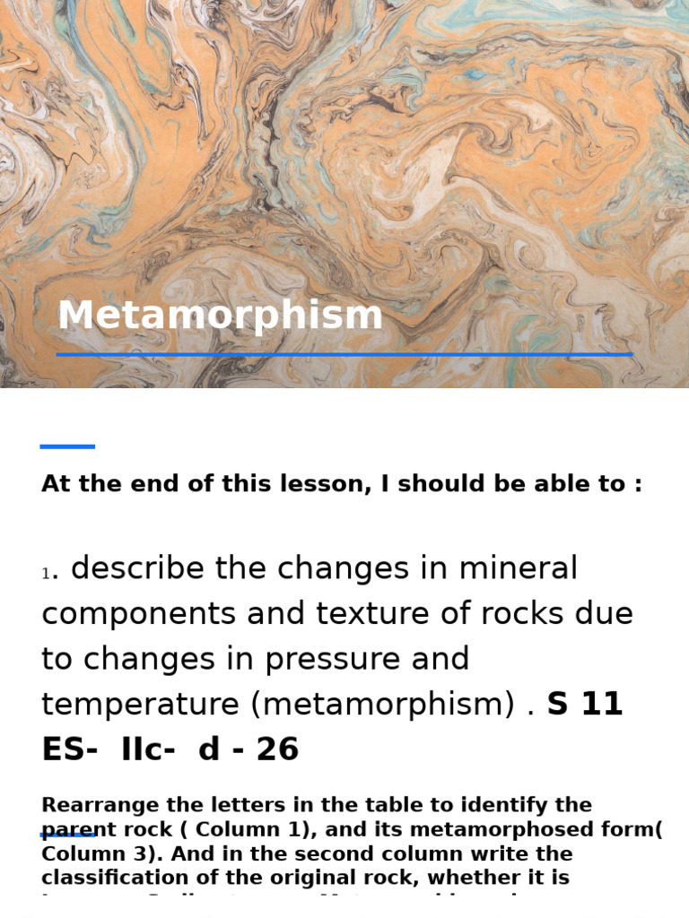Metamorphis M | PDF