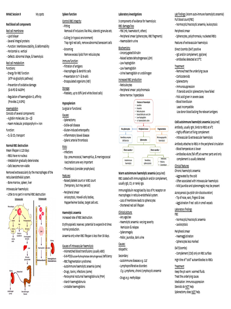 Red Blood Cell Function and Disorders | PDF | Anemia | Red Blood Cell