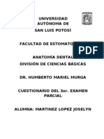 Tercer Parcial. Anatomia Dental