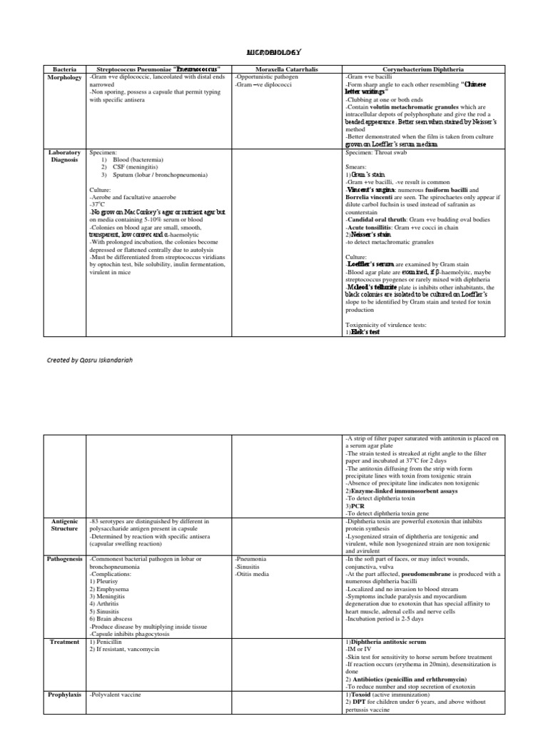 Microbiology Bacteria Pdf Infection Clinical Pathology