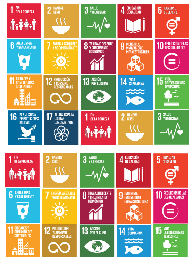 Onu Carta | PDF