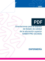 Guia_enfermeria_2011