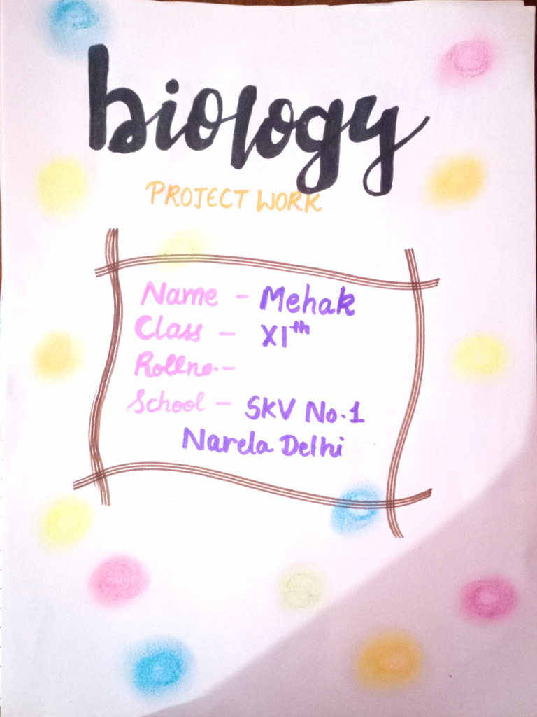 Project File Cell 09-Oct-2022 20-39-27 | PDF