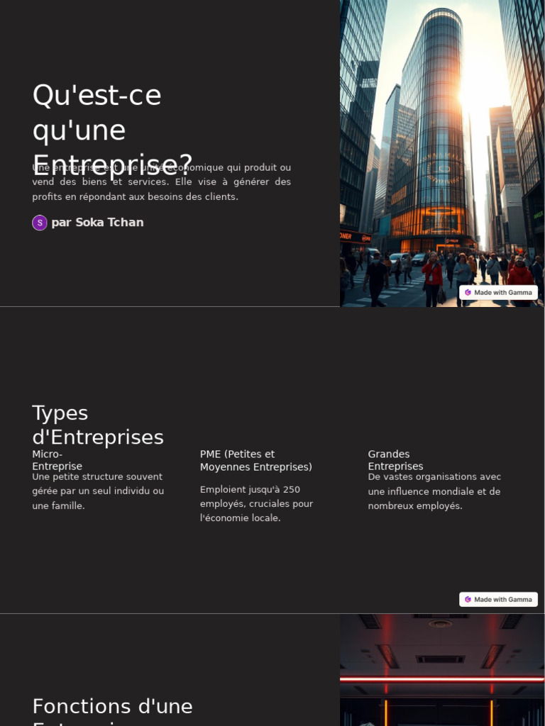 Types et Fonctions des Entreprises | PDF | Business | Responsabilité ...