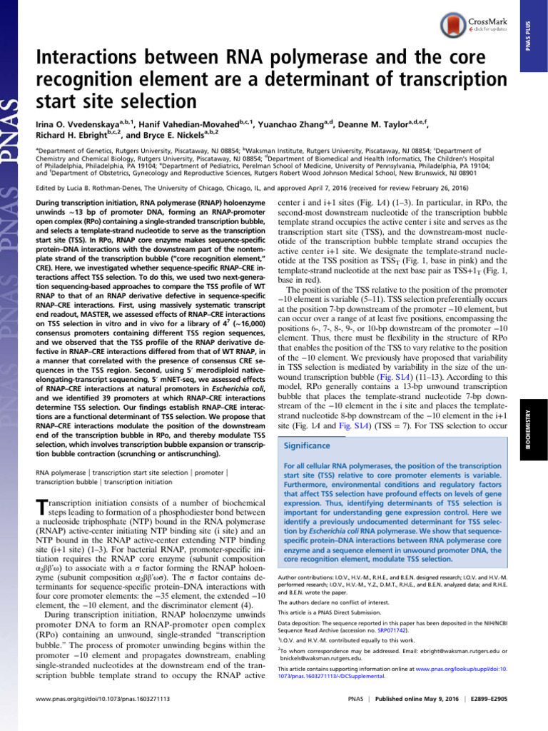 Interactions Between RNA Polymerase and The Core Recognition Element ...