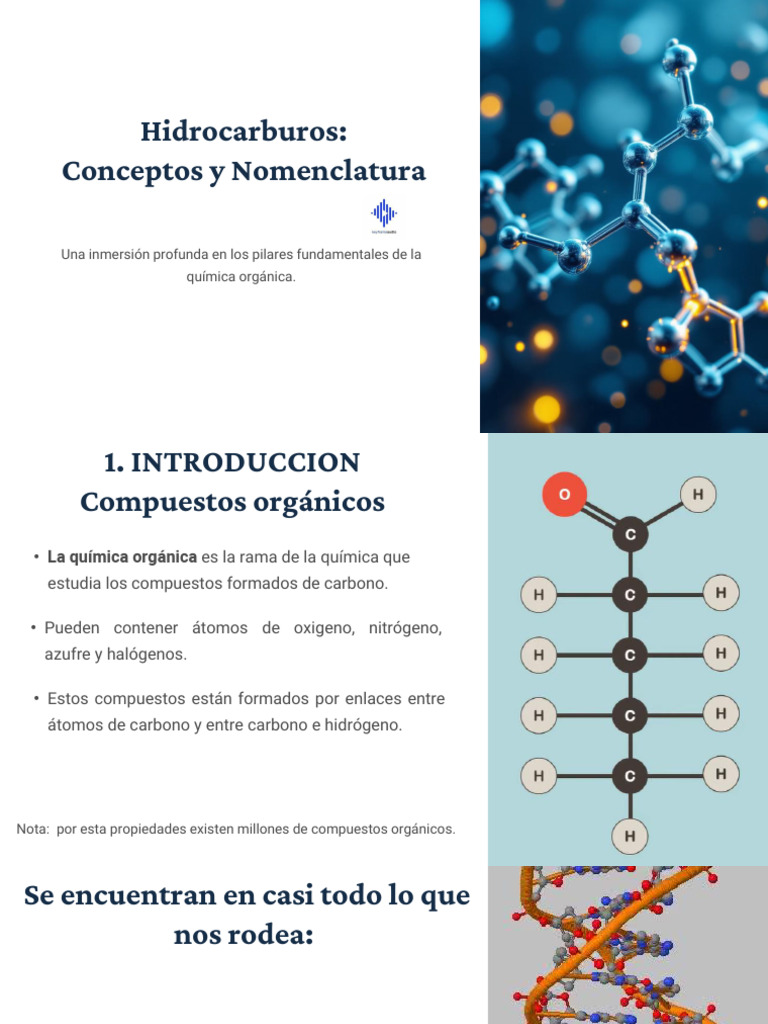Hidrocarburos: Nomenclatura y Clasificación | PDF | Compuestos ...