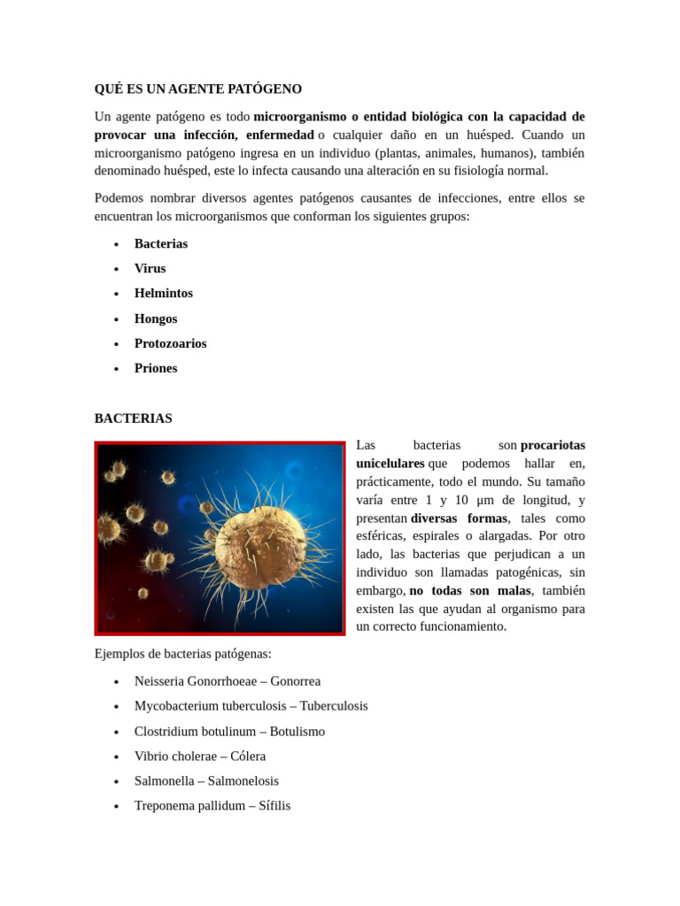 Tipos de Agentes Patógenos y Ejemplos | PDF | Patógeno | Infección