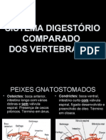 Sistema Digestório Comparado