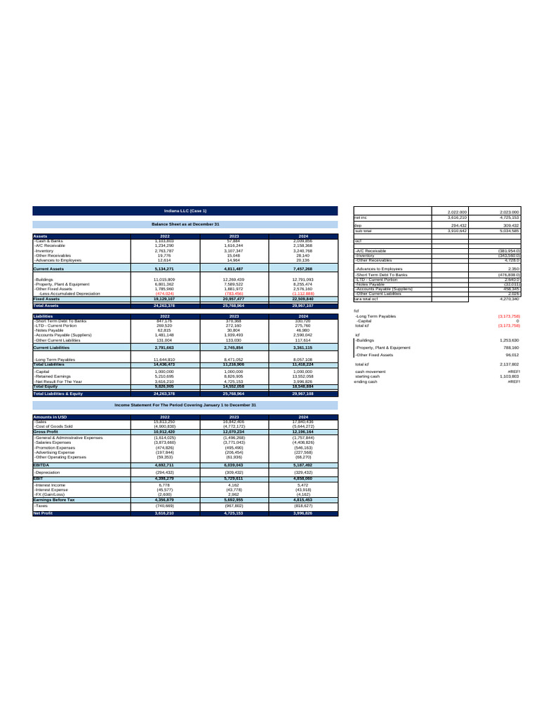 Cash Flows Sample 05.11.2025 | PDF | Expense | Equity (Finance)