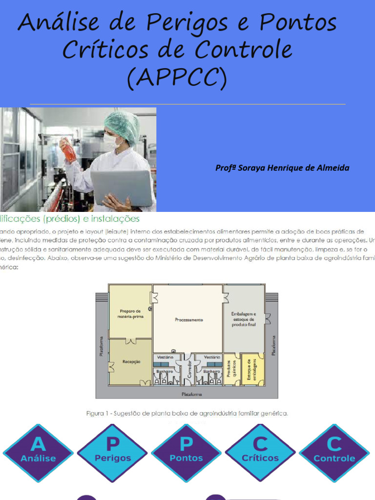 Segurança Alimentar: APPCC e Princípios | PDF