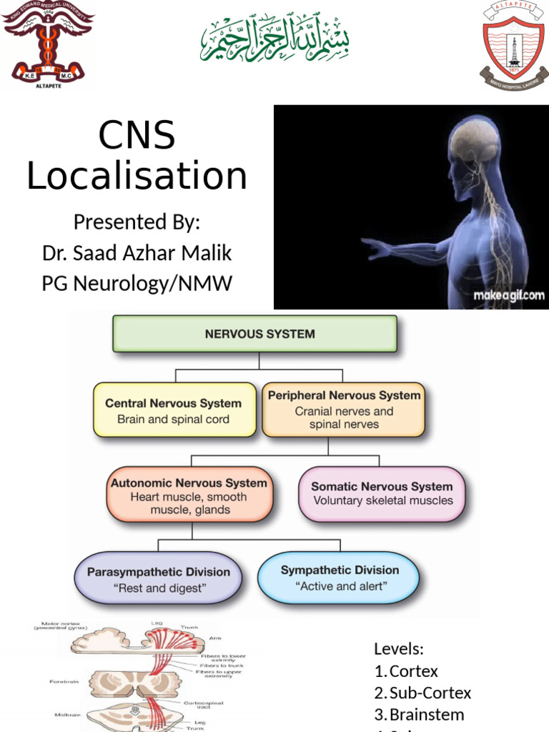 CNS Localization and Upper Motor Neuron Findings | PDF