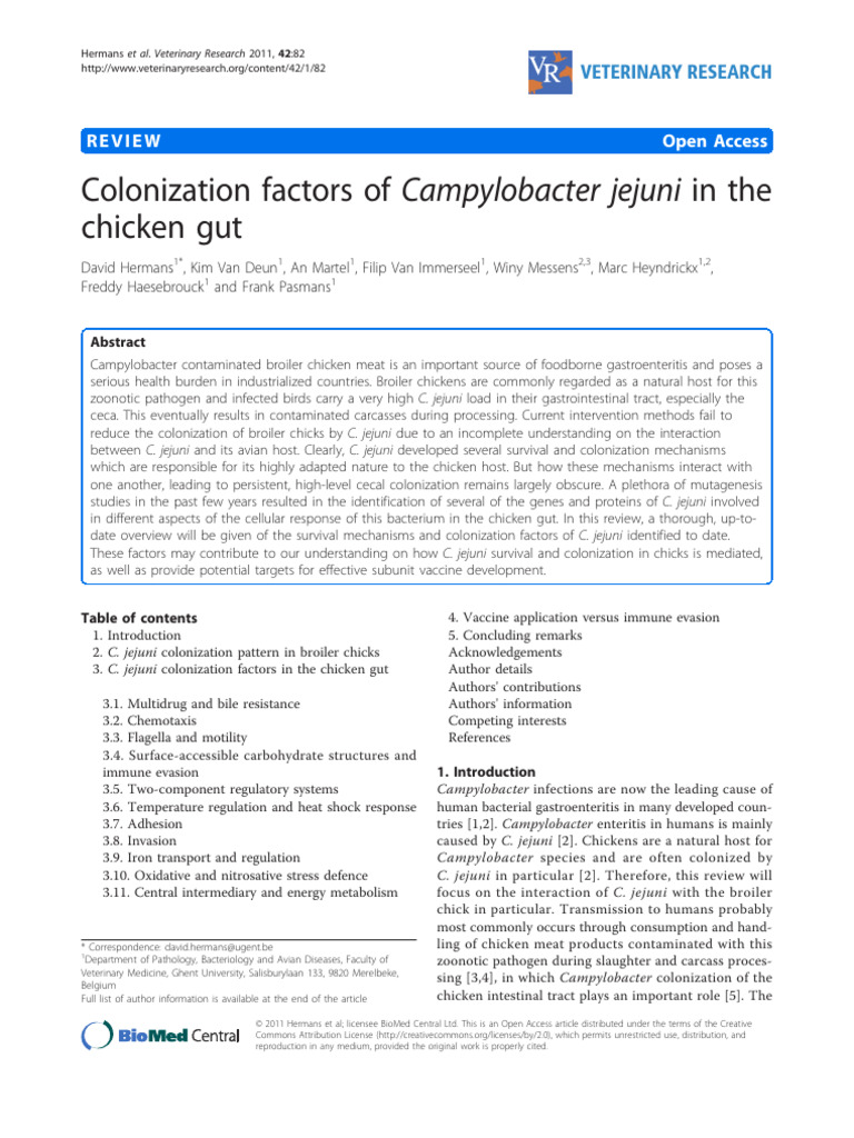 Colonization Factors of Campylobacter Jejuni in The | PDF ...