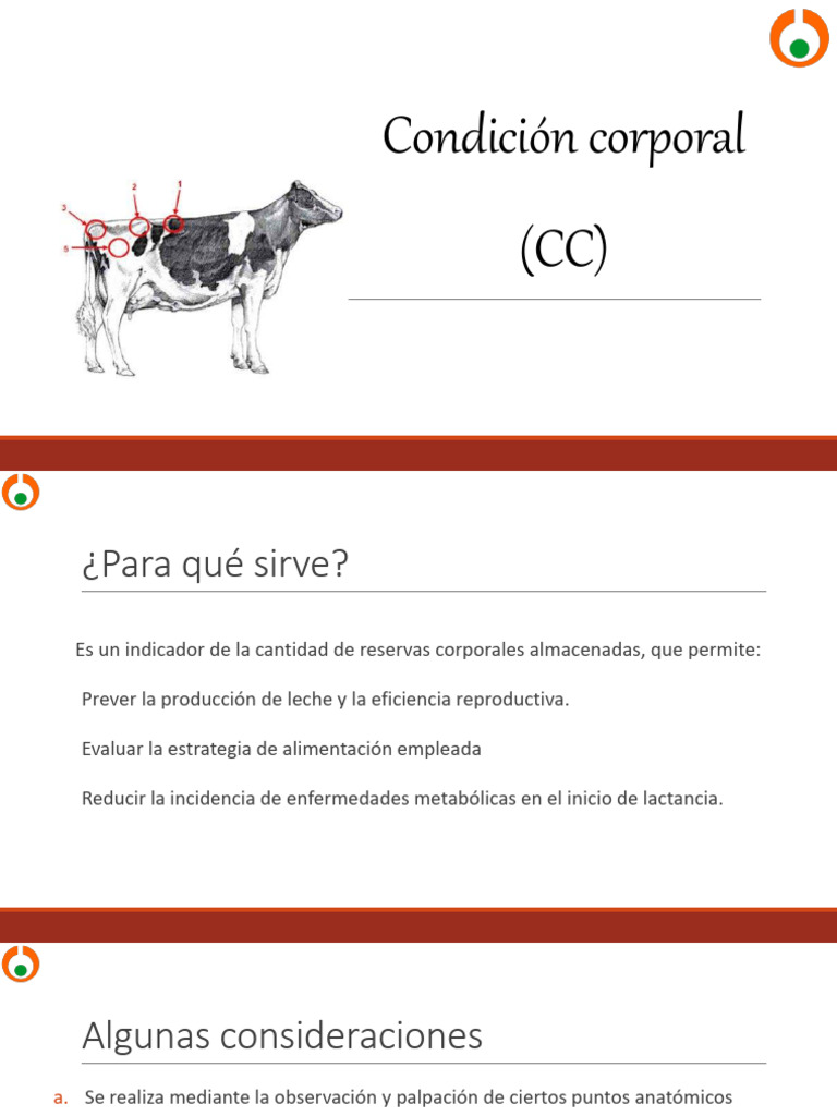 Condición Corporal (CC) | PDF | Obesidad