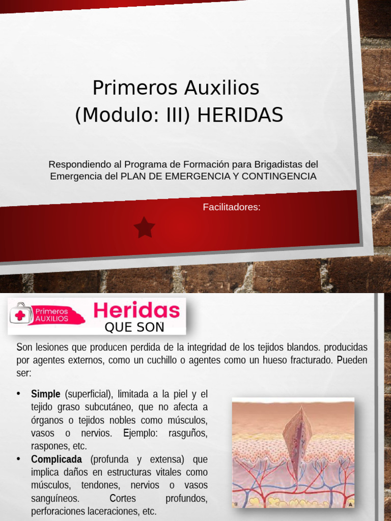 Guía de Primeros Auxilios: Heridas y Hemorragias | PDF | Herida | Sangrado