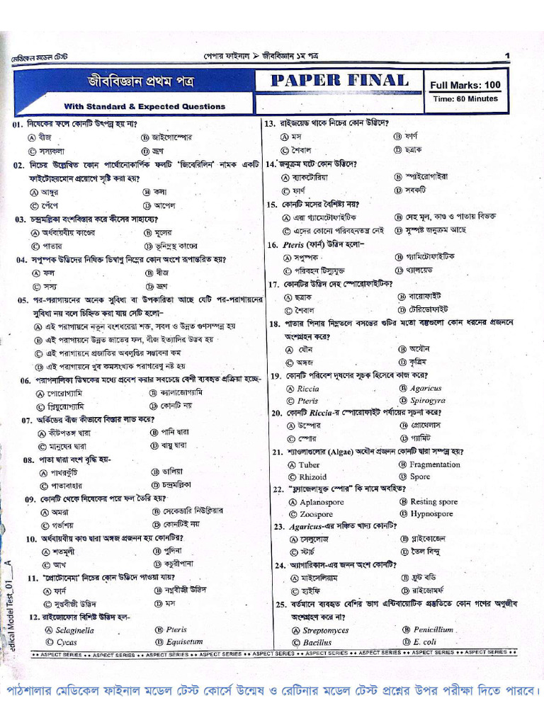 Paper Final | PDF