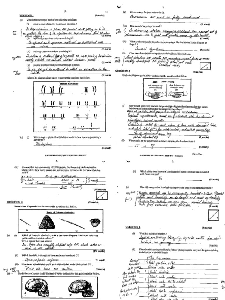 y13 Bio 2008-2016 Paper 2 Solutions | PDF