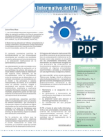 Boletin PEI N 5 Gestionevauativa