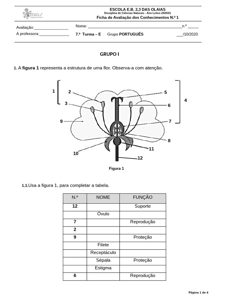 Estrutura da Flor e Polinização | PDF | Flores | Microrganismo