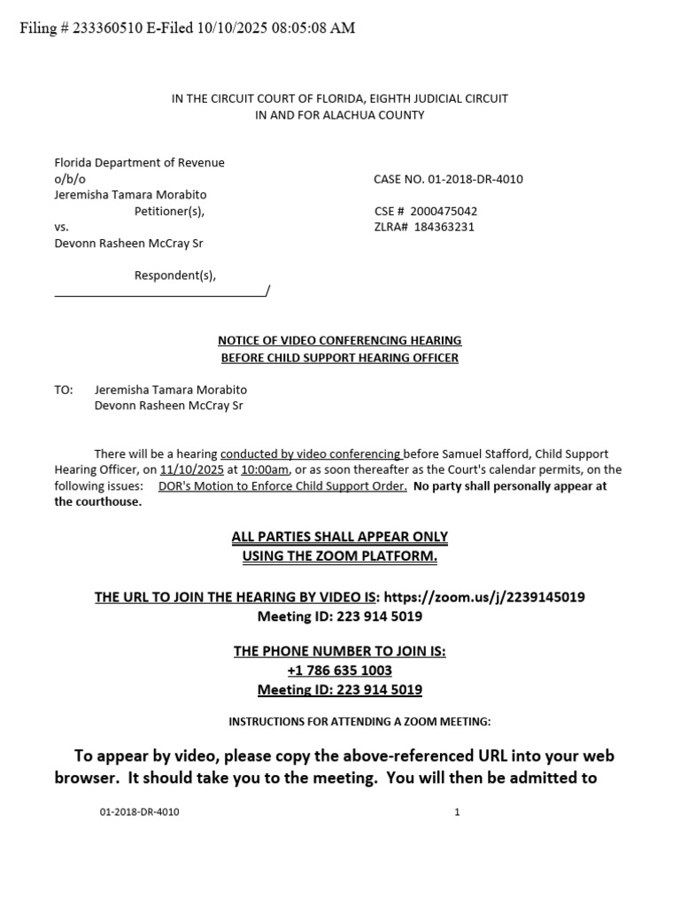 Child Support Hearing Notice - Zoom 2025 | PDF | Child Support | Common Law