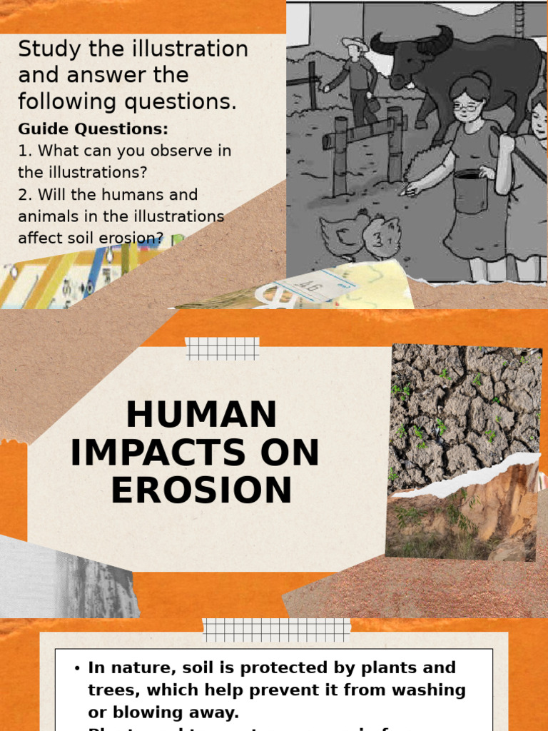 Human Impact on Soil Erosion Effects | PDF | Soil | Weathering