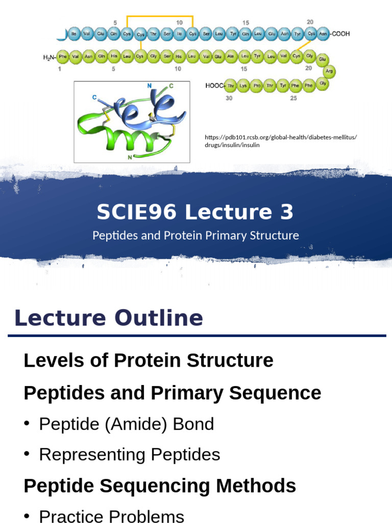 Peptide Bonds and Protein Structure Basics | PDF | Protein Structure ...