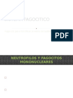 Sistema Fagocitico