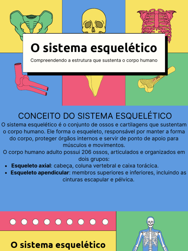 Estrutura e Funções do Sistema Esquelético | PDF | Osso | Esqueleto